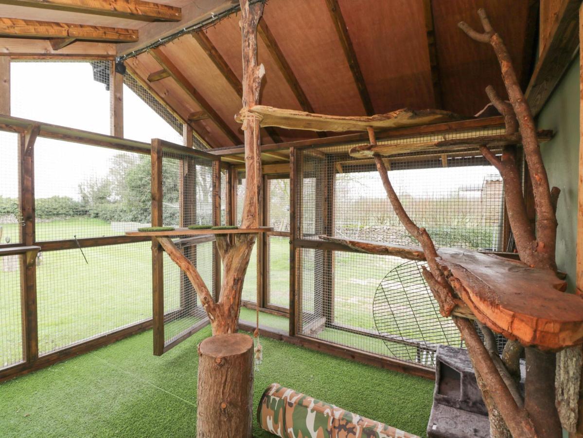 Orchard House Cottage Malmesbury Dış mekan fotoğraf